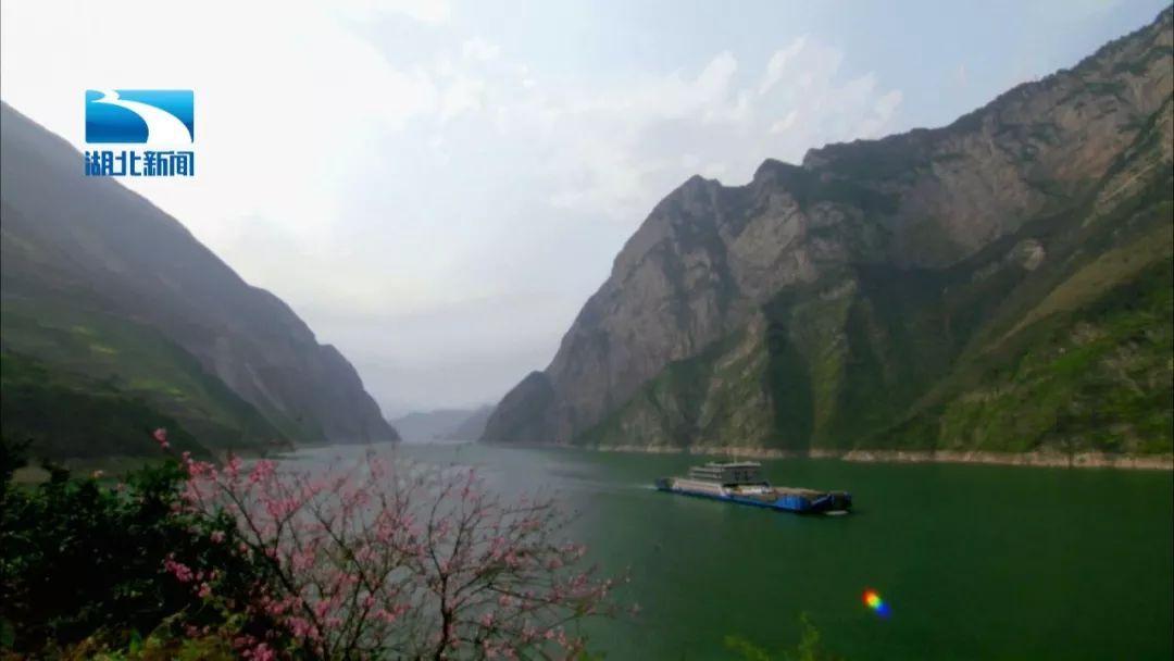 探秘天涯问答交流平台影视自媒体怎么做